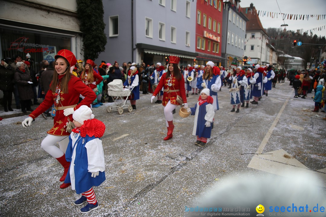 Tuttlinger Fasnetumzug: Tuttlingen am Bodensee, 10.02.2018