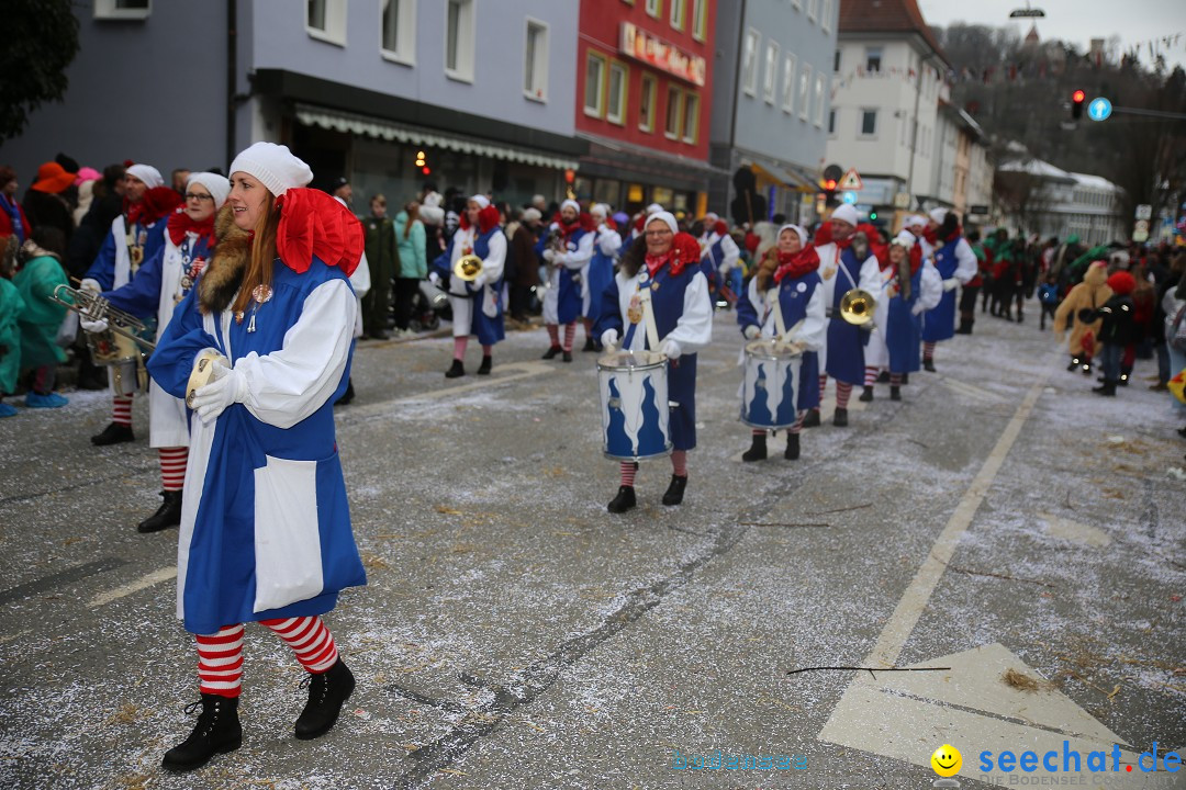 Tuttlinger Fasnetumzug: Tuttlingen am Bodensee, 10.02.2018