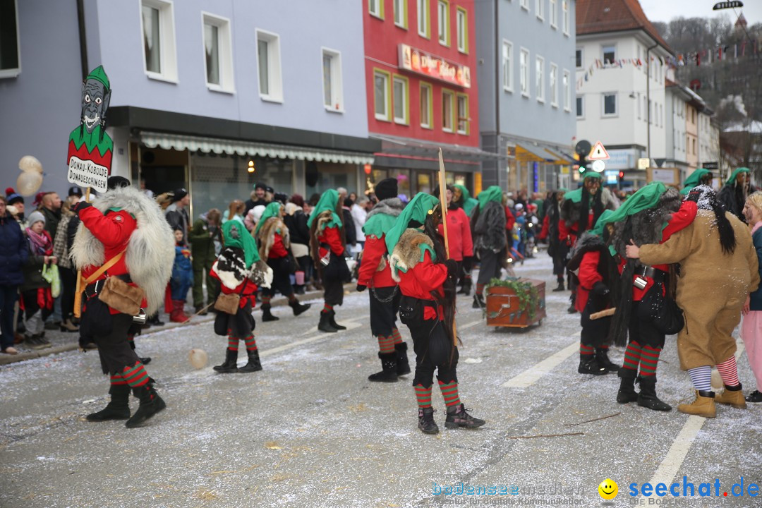 Tuttlinger Fasnetumzug: Tuttlingen am Bodensee, 10.02.2018