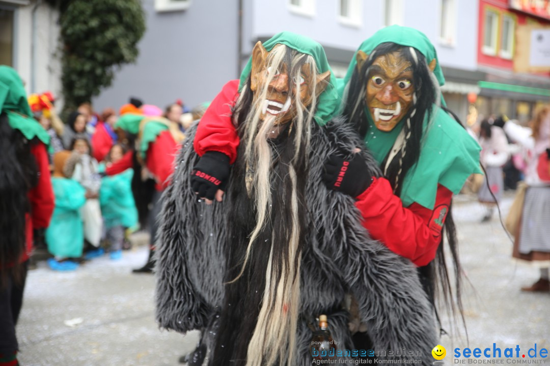 Tuttlinger Fasnetumzug: Tuttlingen am Bodensee, 10.02.2018