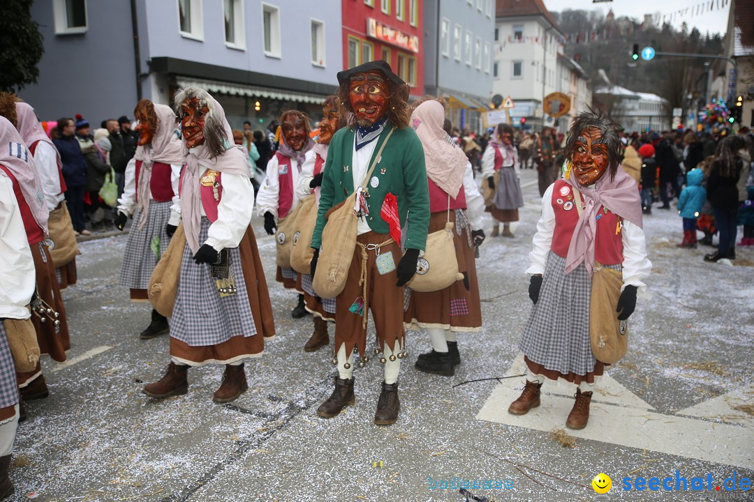 Tuttlinger Fasnetumzug: Tuttlingen am Bodensee, 10.02.2018