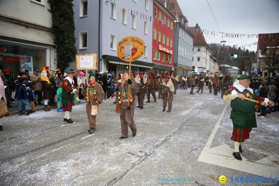 Tuttlinger Fasnetumzug: Tuttlingen am Bodensee, 10.02.2018