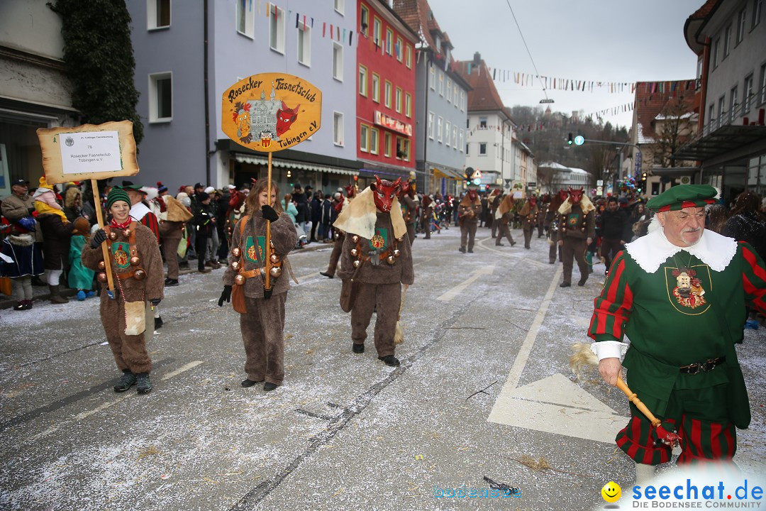 Tuttlinger Fasnetumzug: Tuttlingen am Bodensee, 10.02.2018