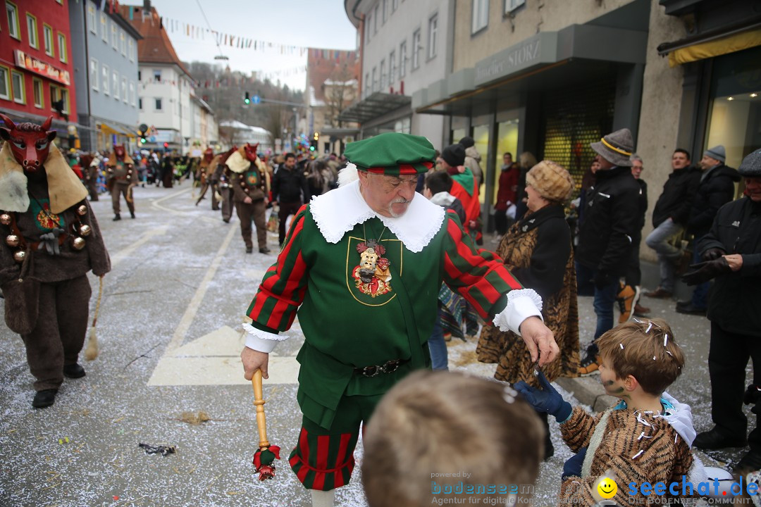 Tuttlinger Fasnetumzug: Tuttlingen am Bodensee, 10.02.2018