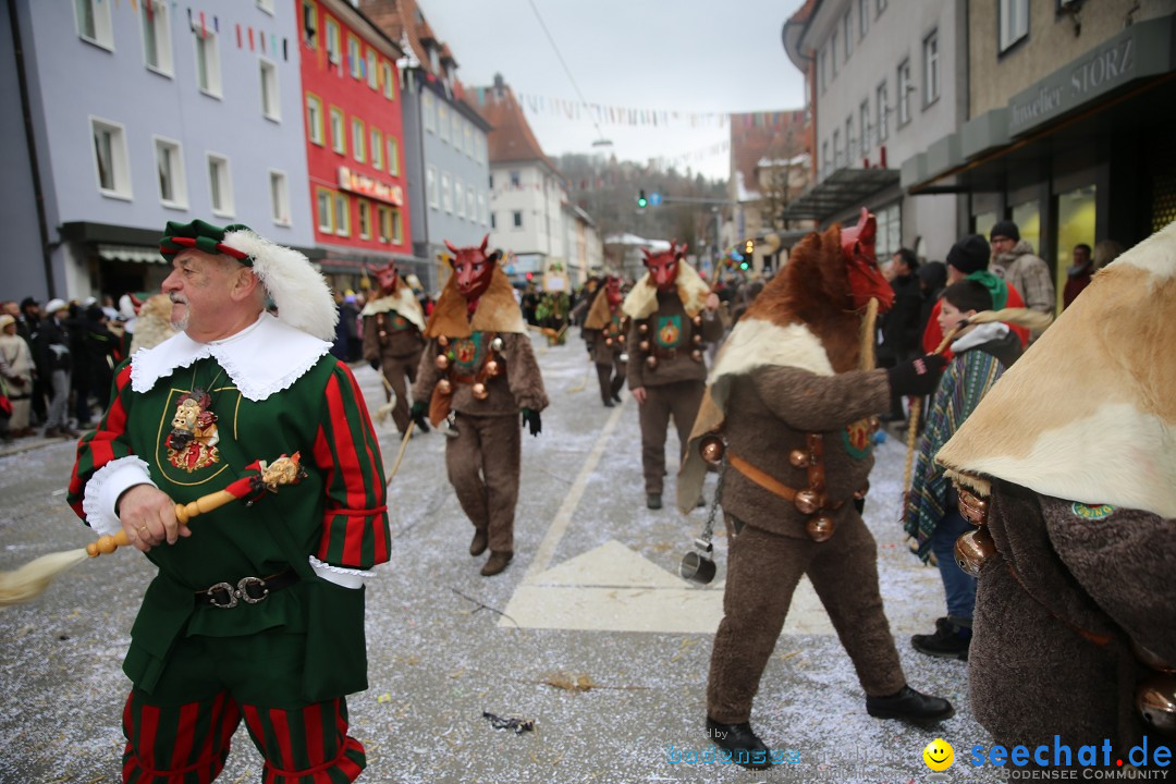 Tuttlinger Fasnetumzug: Tuttlingen am Bodensee, 10.02.2018