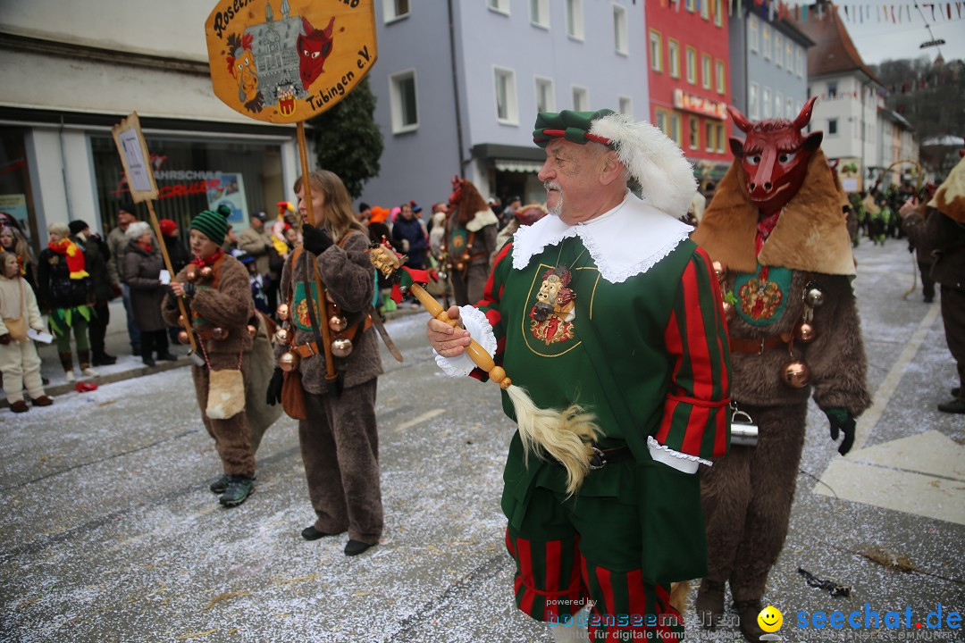 Tuttlinger Fasnetumzug: Tuttlingen am Bodensee, 10.02.2018