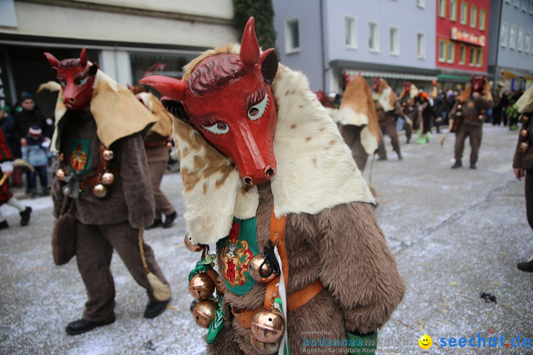 Tuttlinger Fasnetumzug: Tuttlingen am Bodensee, 10.02.2018