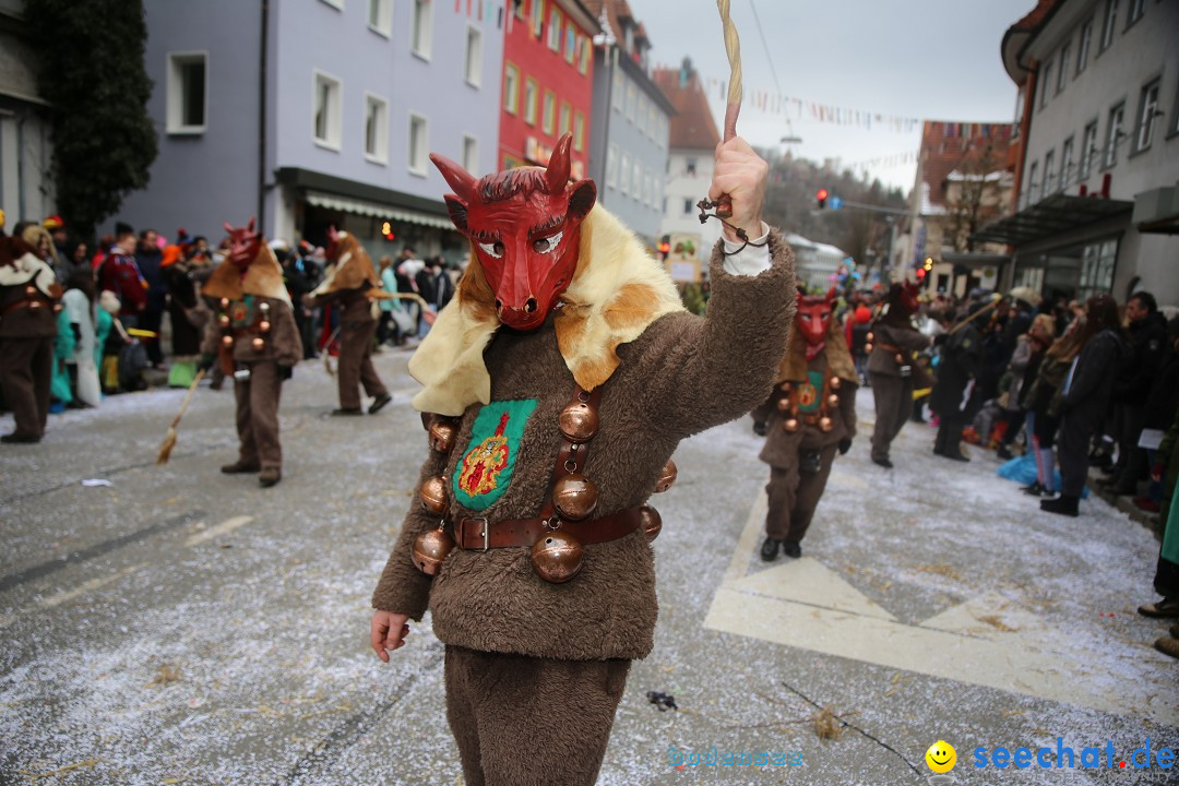 Tuttlinger Fasnetumzug: Tuttlingen am Bodensee, 10.02.2018