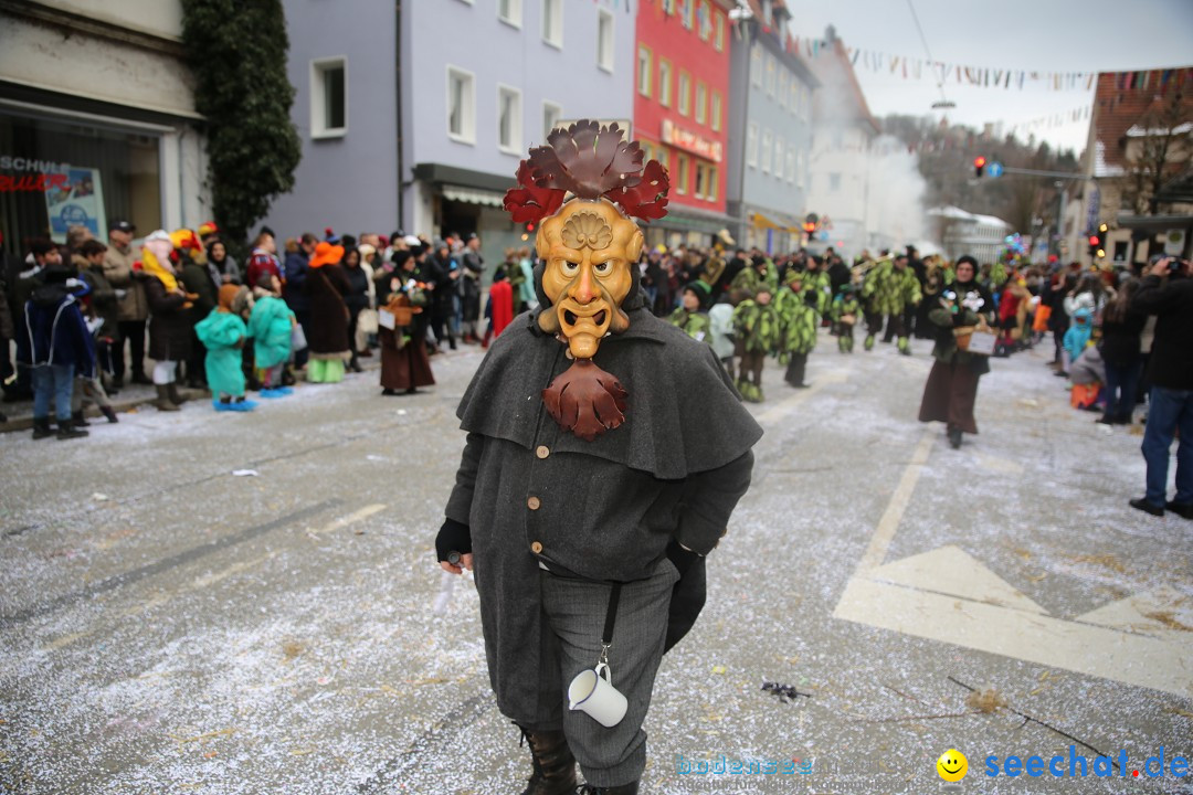 Tuttlinger Fasnetumzug: Tuttlingen am Bodensee, 10.02.2018