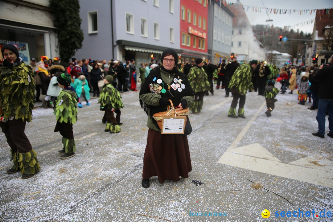 Tuttlinger Fasnetumzug: Tuttlingen am Bodensee, 10.02.2018