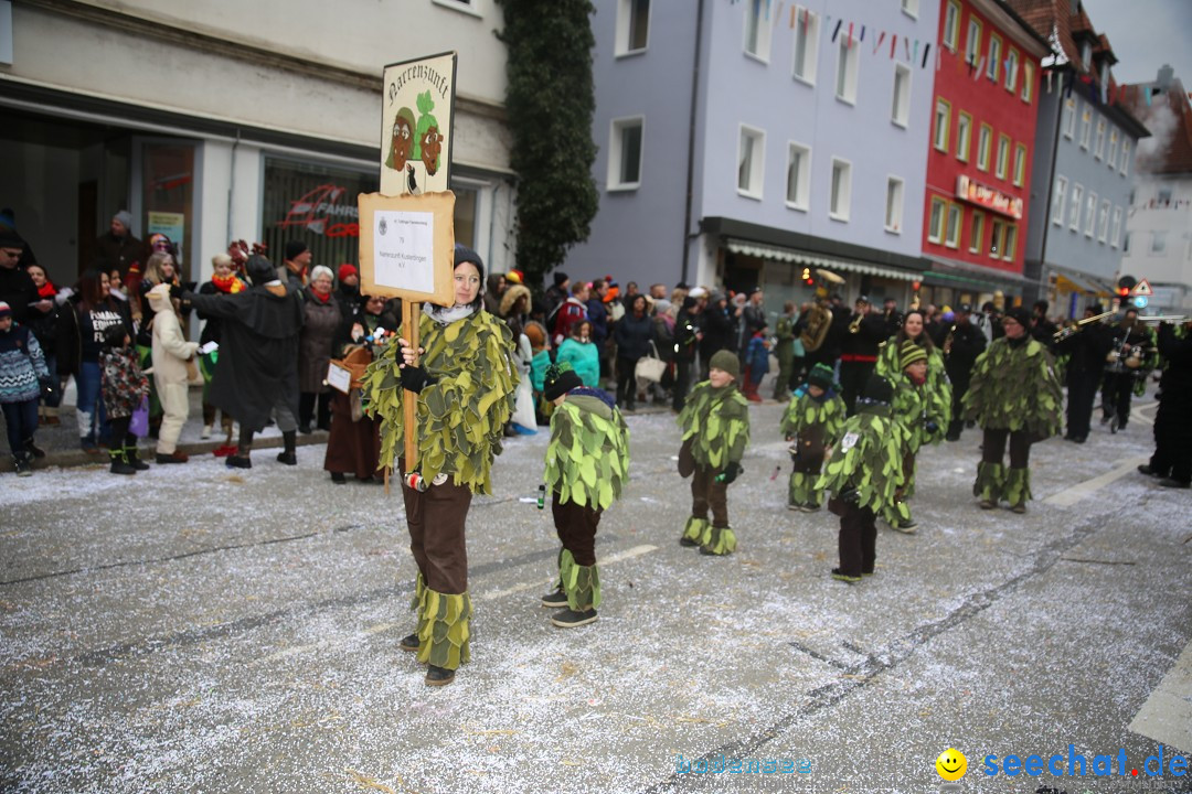 Tuttlinger Fasnetumzug: Tuttlingen am Bodensee, 10.02.2018