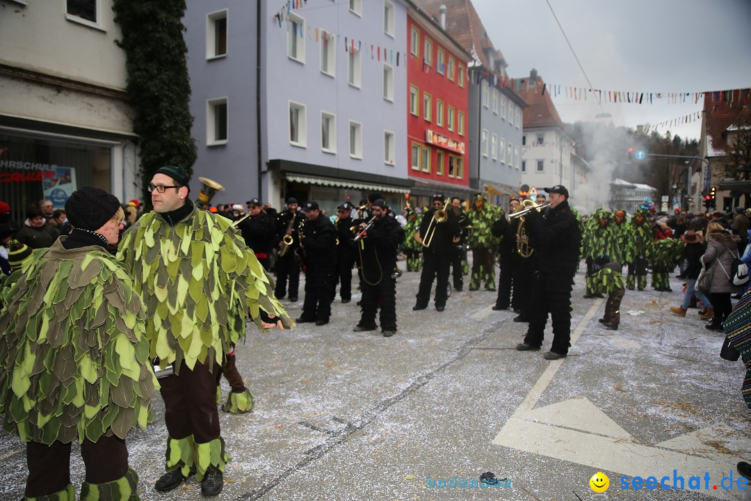 Tuttlinger Fasnetumzug: Tuttlingen am Bodensee, 10.02.2018