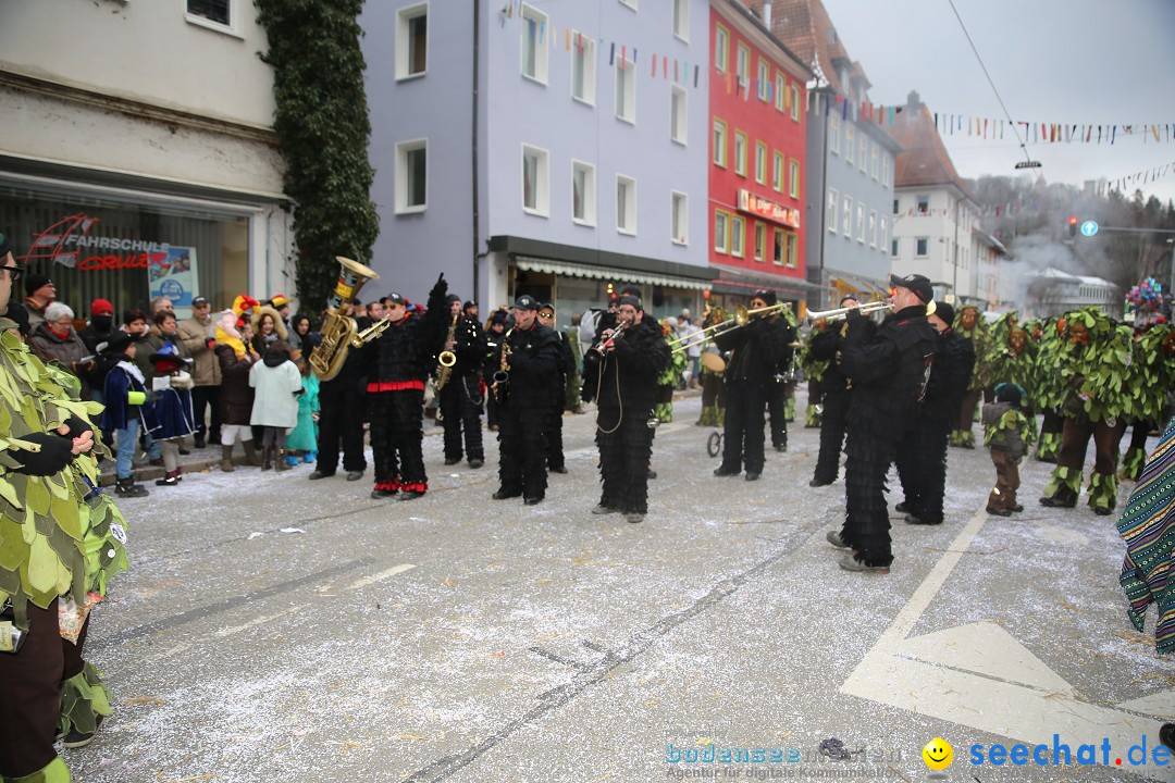 Tuttlinger Fasnetumzug: Tuttlingen am Bodensee, 10.02.2018