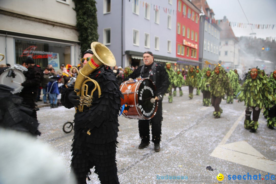 Tuttlinger Fasnetumzug: Tuttlingen am Bodensee, 10.02.2018