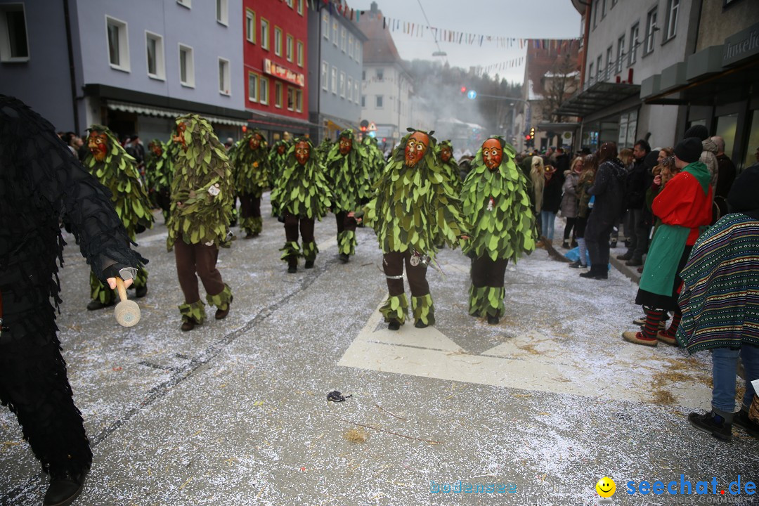 Tuttlinger Fasnetumzug: Tuttlingen am Bodensee, 10.02.2018