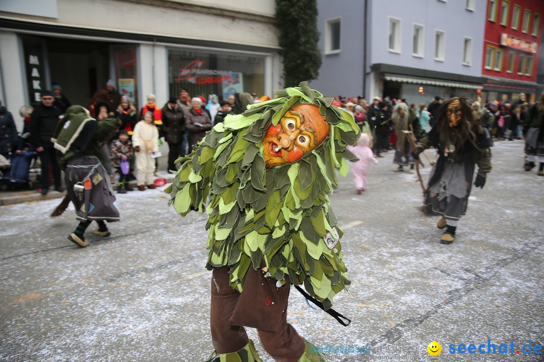 Tuttlinger Fasnetumzug: Tuttlingen am Bodensee, 10.02.2018