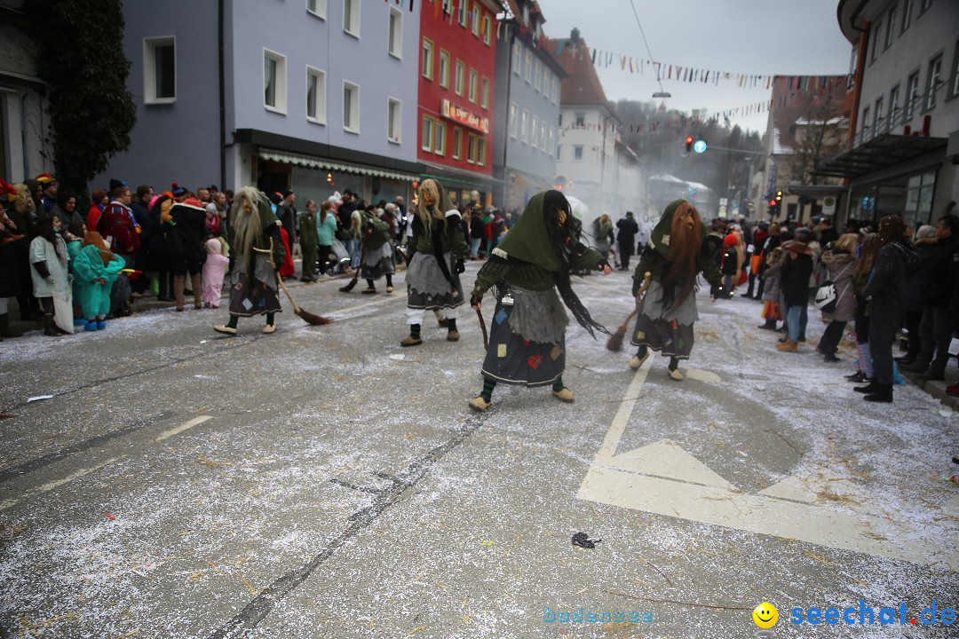 Tuttlinger Fasnetumzug: Tuttlingen am Bodensee, 10.02.2018