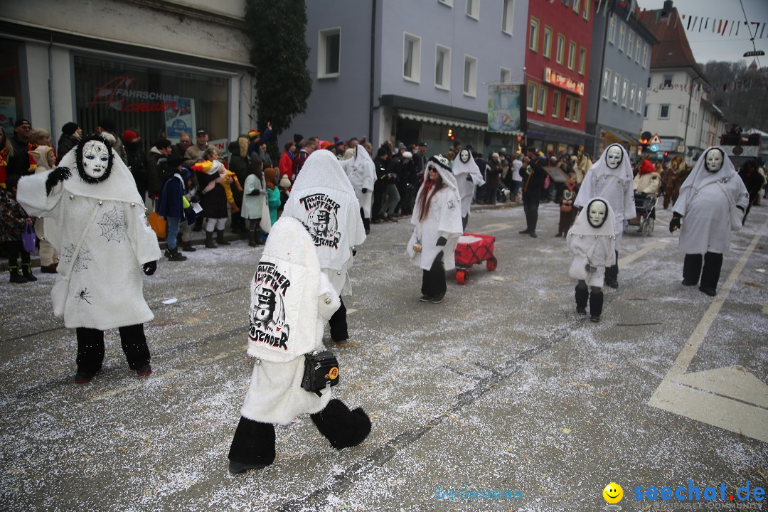 Tuttlinger Fasnetumzug: Tuttlingen am Bodensee, 10.02.2018