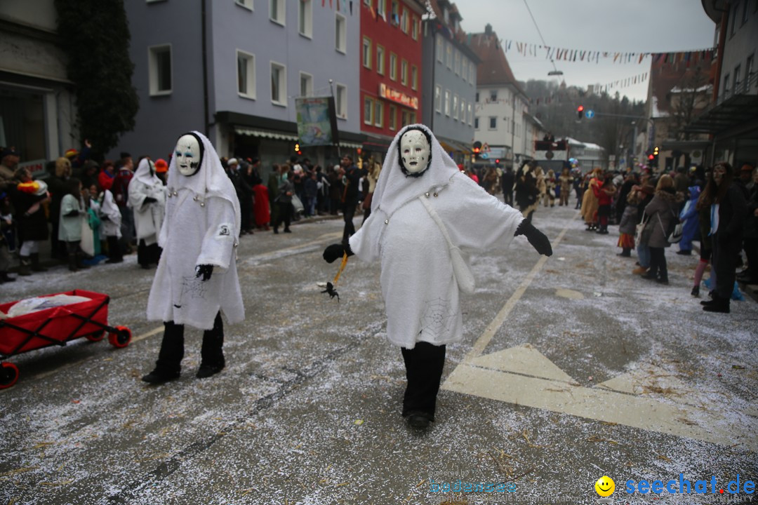 Tuttlinger Fasnetumzug: Tuttlingen am Bodensee, 10.02.2018