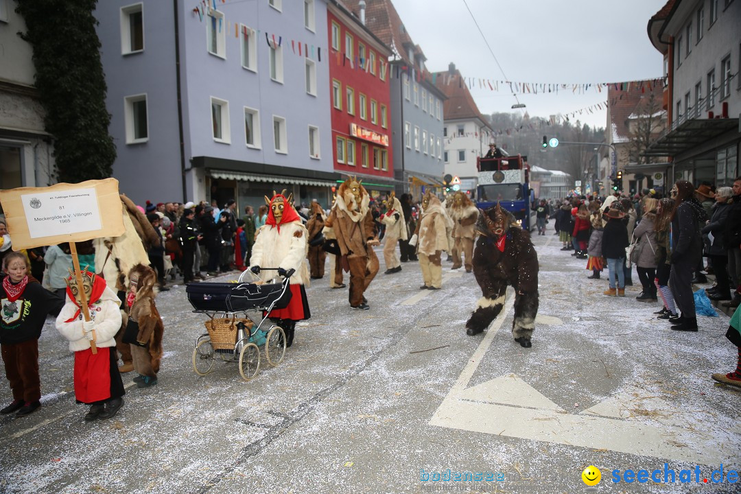 Tuttlinger Fasnetumzug: Tuttlingen am Bodensee, 10.02.2018