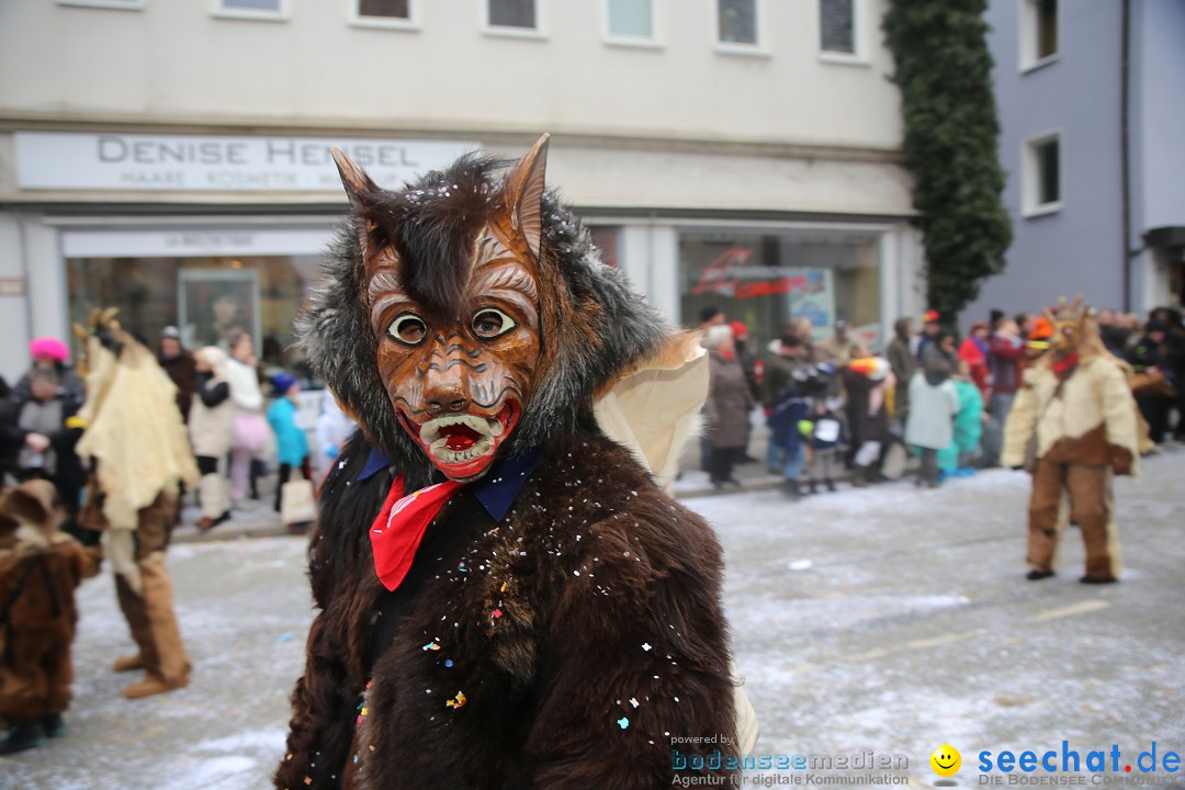 Tuttlinger Fasnetumzug: Tuttlingen am Bodensee, 10.02.2018