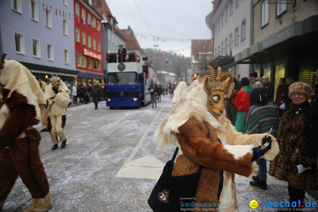 Tuttlinger Fasnetumzug: Tuttlingen am Bodensee, 10.02.2018