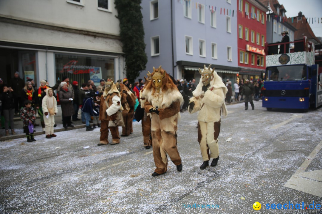 Tuttlinger Fasnetumzug: Tuttlingen am Bodensee, 10.02.2018