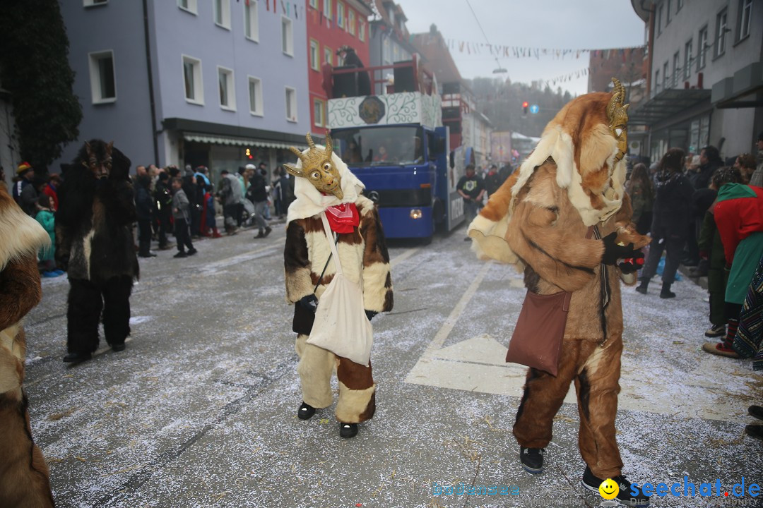 Tuttlinger Fasnetumzug: Tuttlingen am Bodensee, 10.02.2018