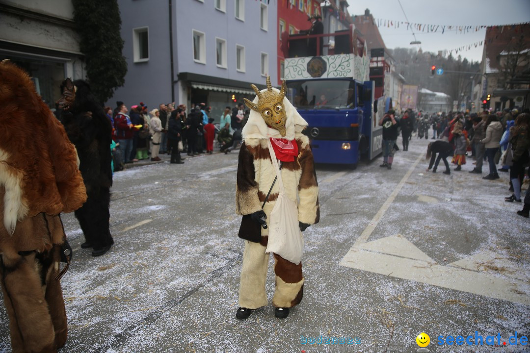 Tuttlinger Fasnetumzug: Tuttlingen am Bodensee, 10.02.2018