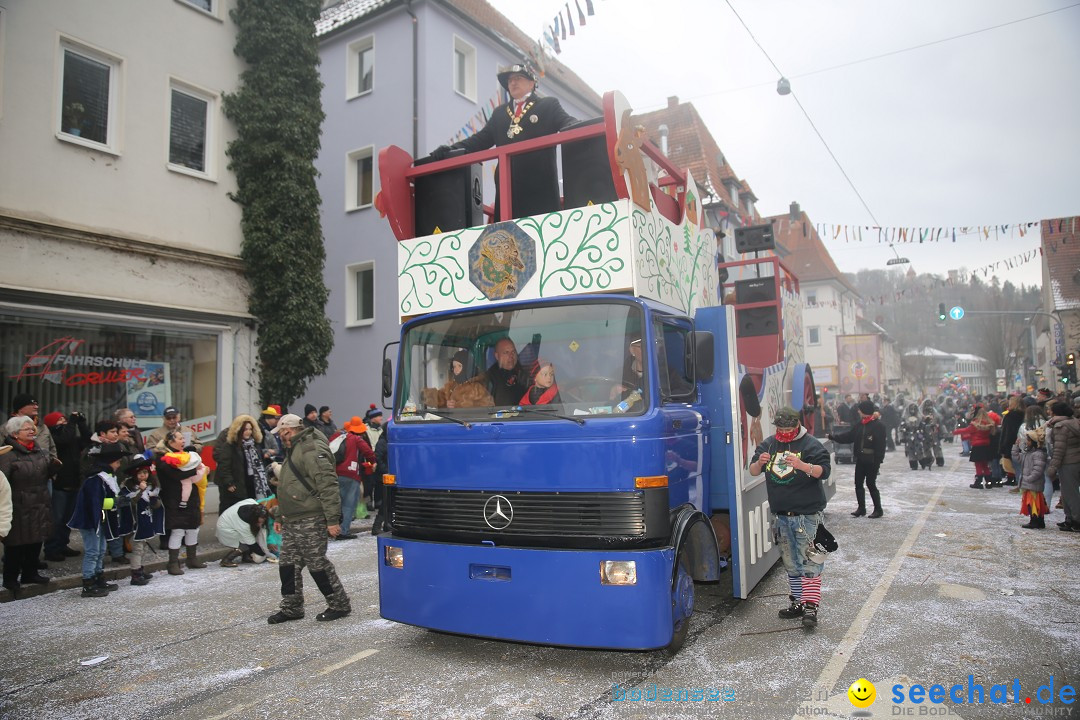 Tuttlinger Fasnetumzug: Tuttlingen am Bodensee, 10.02.2018