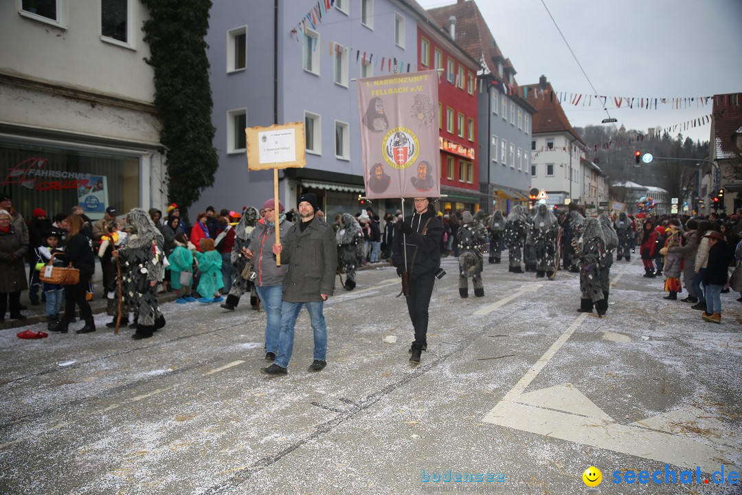 Tuttlinger Fasnetumzug: Tuttlingen am Bodensee, 10.02.2018