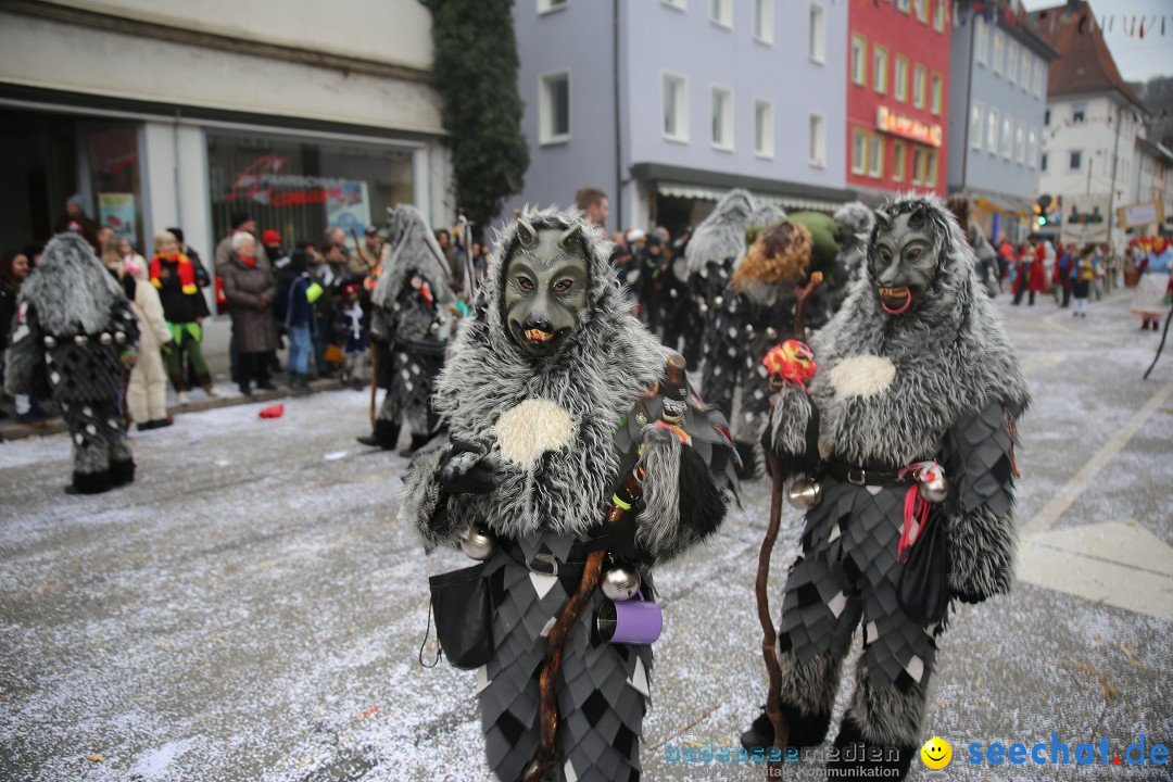 Tuttlinger Fasnetumzug: Tuttlingen am Bodensee, 10.02.2018