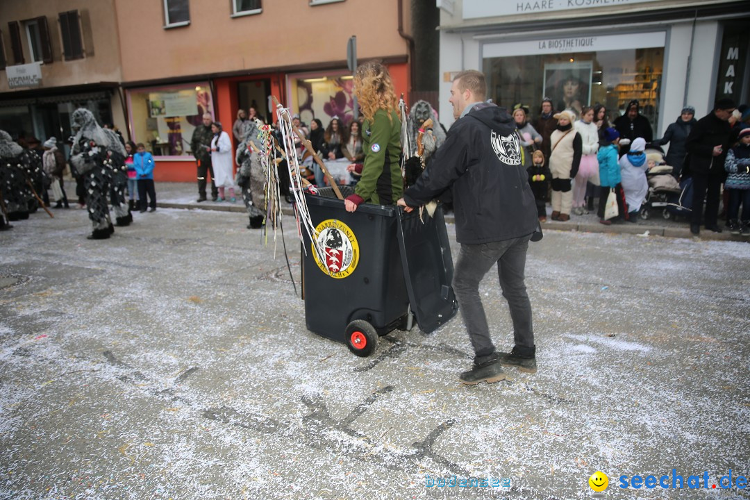 Tuttlinger Fasnetumzug: Tuttlingen am Bodensee, 10.02.2018