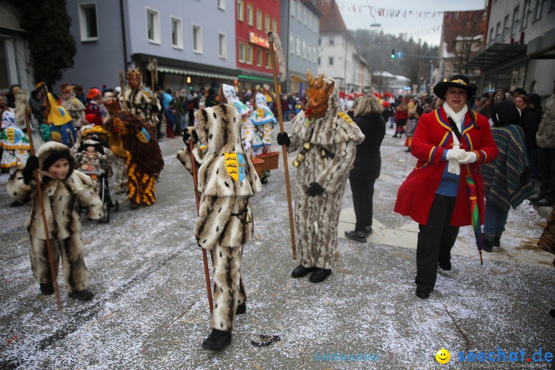 Tuttlinger Fasnetumzug: Tuttlingen am Bodensee, 10.02.2018