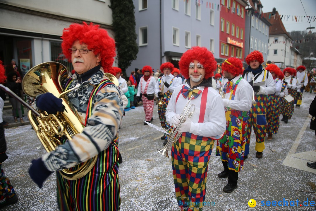 Tuttlinger Fasnetumzug: Tuttlingen am Bodensee, 10.02.2018