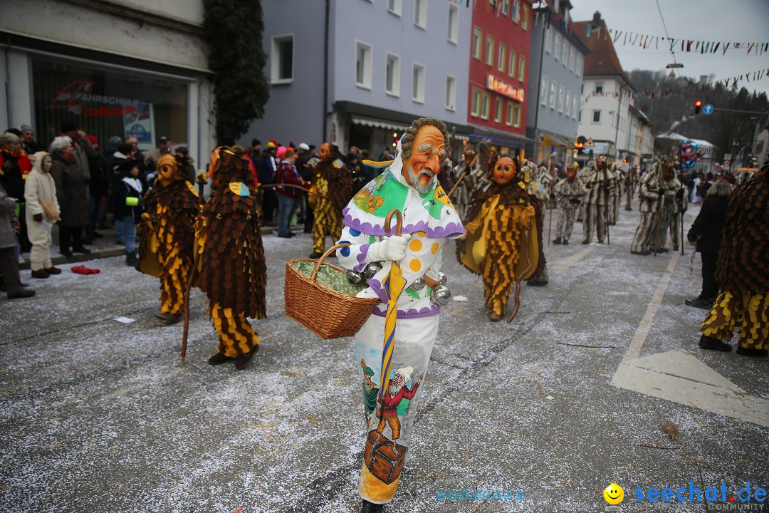 Tuttlinger Fasnetumzug: Tuttlingen am Bodensee, 10.02.2018