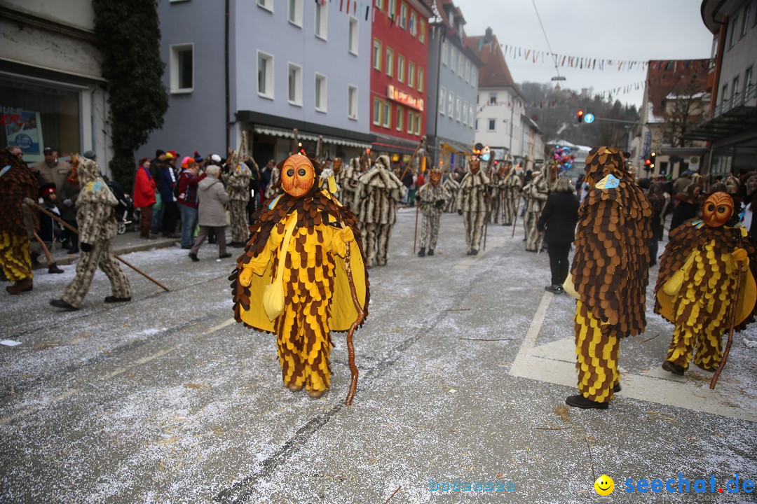 Tuttlinger Fasnetumzug: Tuttlingen am Bodensee, 10.02.2018