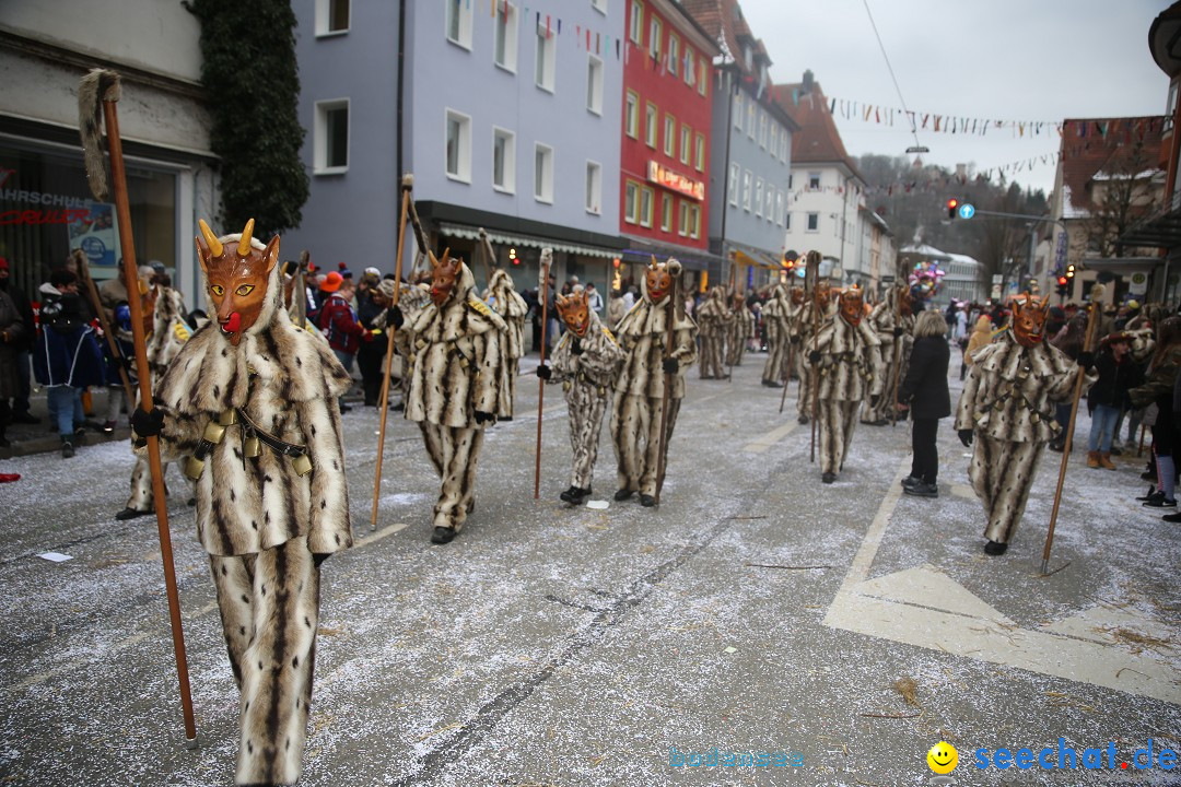 Tuttlinger Fasnetumzug: Tuttlingen am Bodensee, 10.02.2018