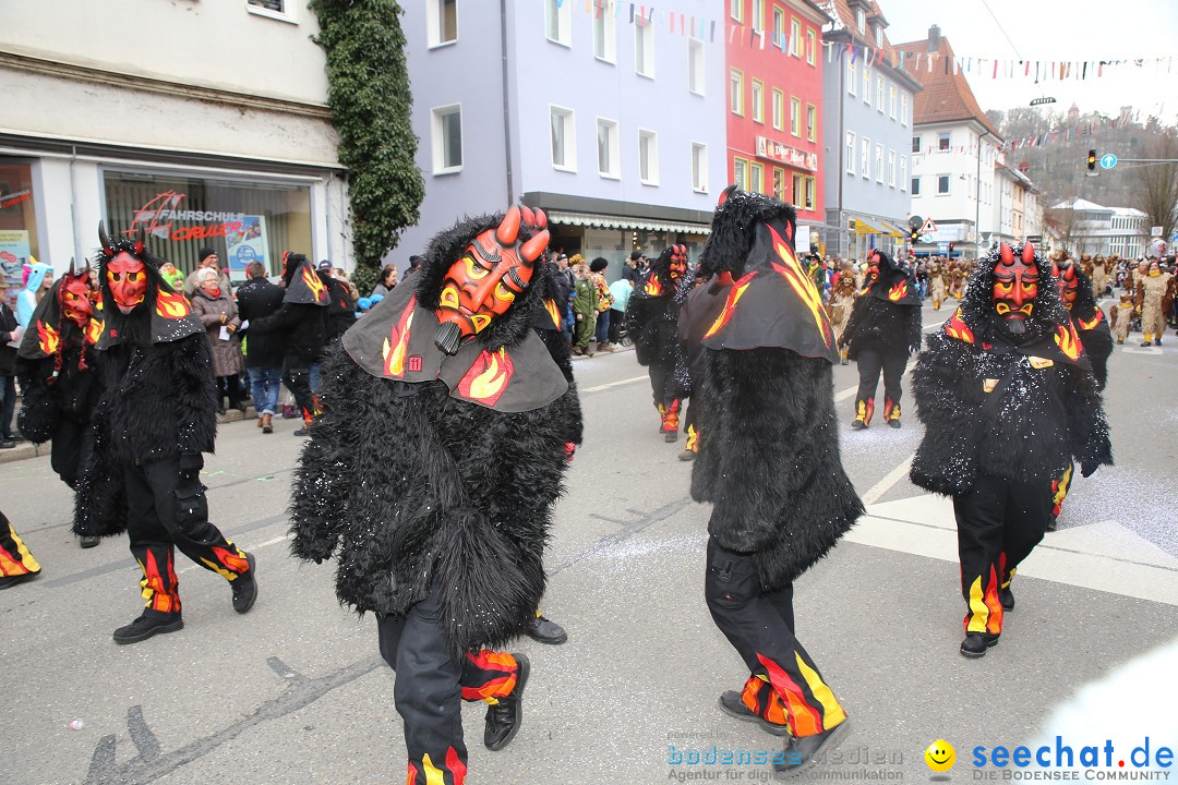 Tuttlinger Fasnetumzug: Tuttlingen am Bodensee, 10.02.2018