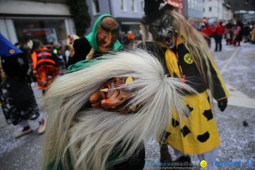 Tuttlinger Fasnetumzug: Tuttlingen am Bodensee, 10.02.2018