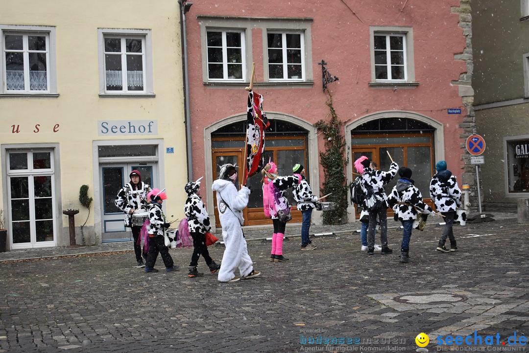 Fasnetsumzug - Narrensprung: Lindau am Bodensee, 11.02.2018