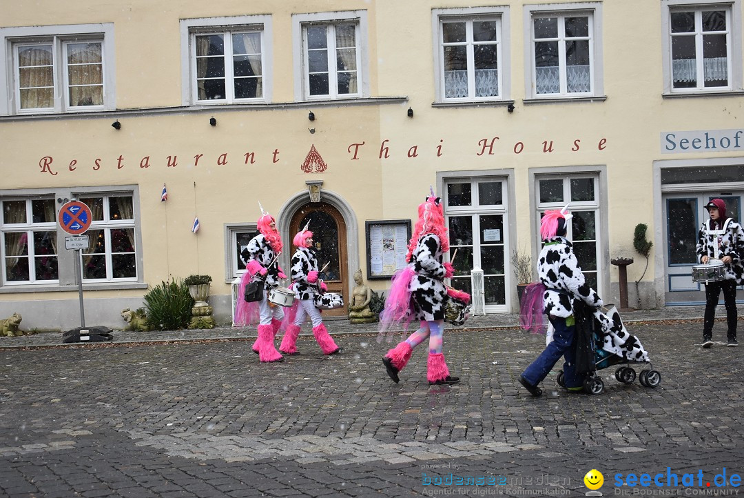 Fasnetsumzug - Narrensprung: Lindau am Bodensee, 11.02.2018