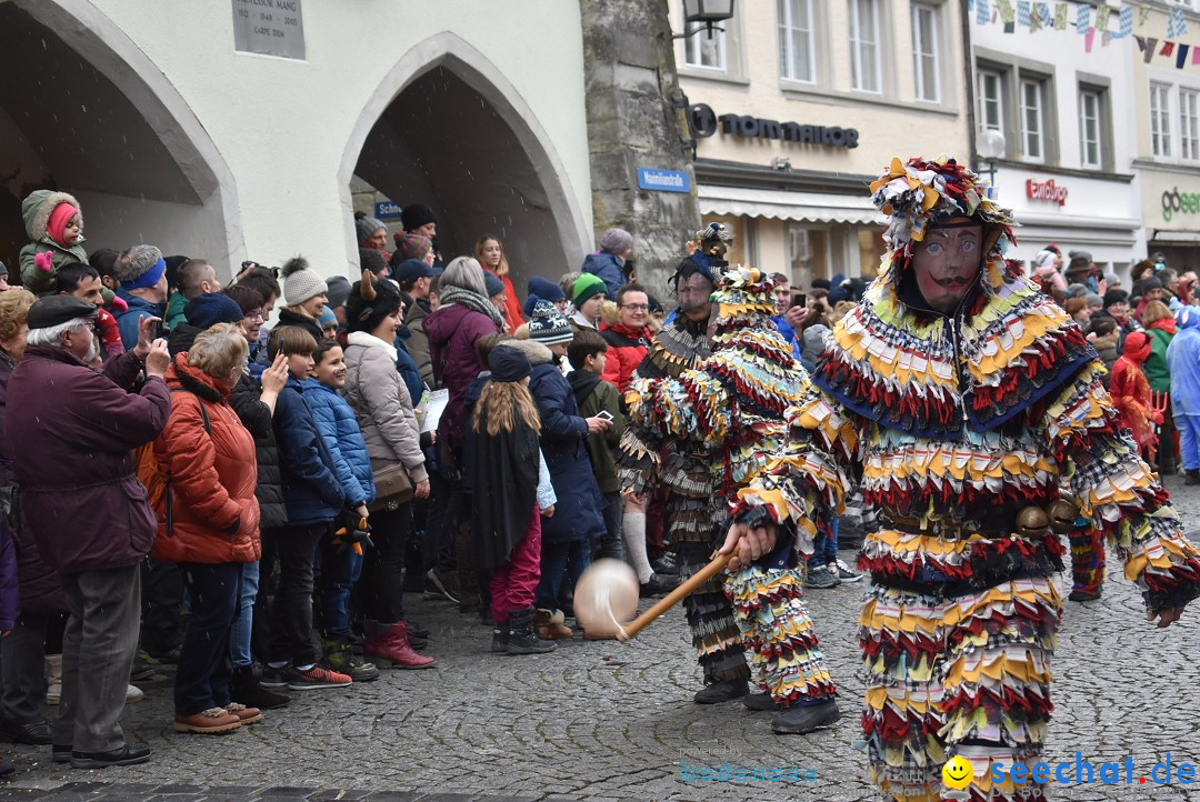 Fasnetsumzug - Narrensprung: Lindau am Bodensee, 11.02.2018