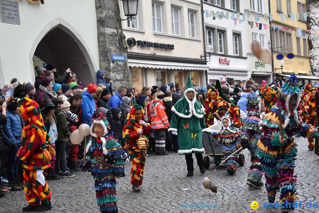 Fasnetsumzug - Narrensprung: Lindau am Bodensee, 11.02.2018