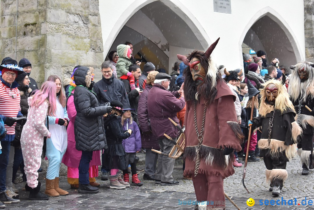 Fasnetsumzug - Narrensprung: Lindau am Bodensee, 11.02.2018