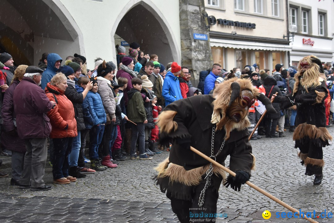 Fasnetsumzug - Narrensprung: Lindau am Bodensee, 11.02.2018