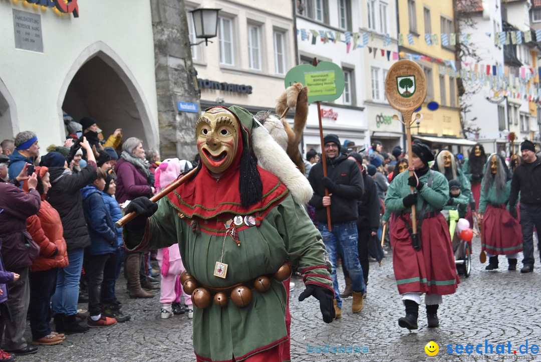 Fasnetsumzug - Narrensprung: Lindau am Bodensee, 11.02.2018