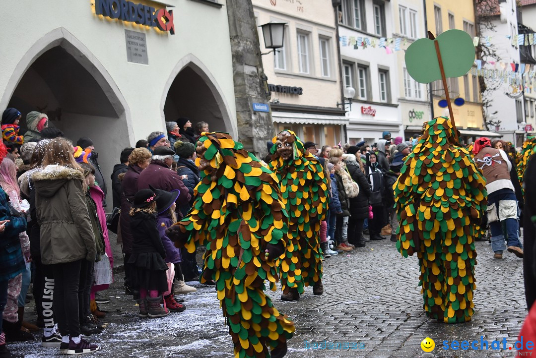 Fasnetsumzug - Narrensprung: Lindau am Bodensee, 11.02.2018