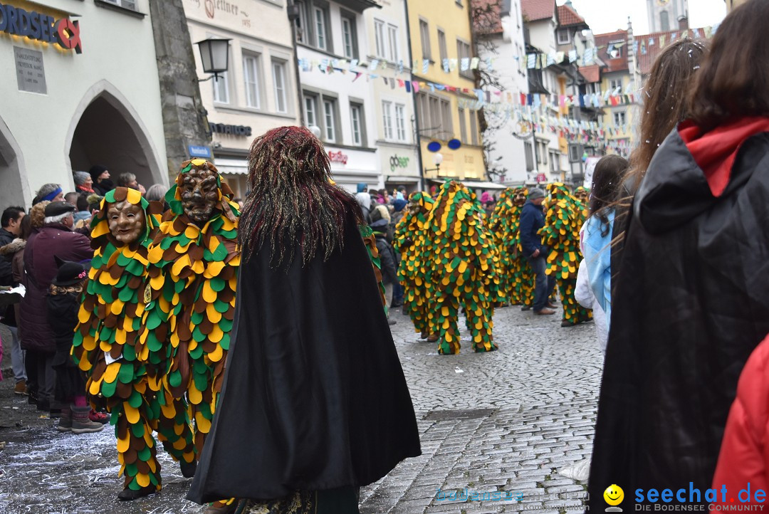 Fasnetsumzug - Narrensprung: Lindau am Bodensee, 11.02.2018