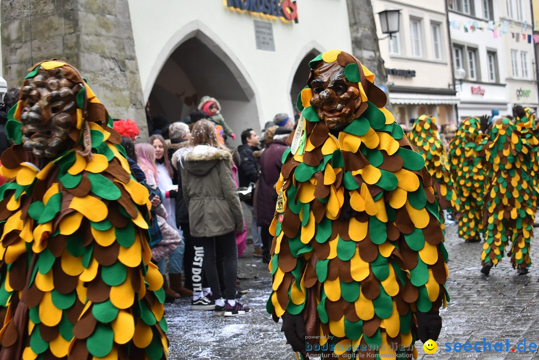 Fasnetsumzug - Narrensprung: Lindau am Bodensee, 11.02.2018